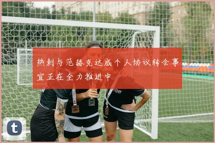 热刺与范赫克达成个人协议转会事宜正在全力推进中